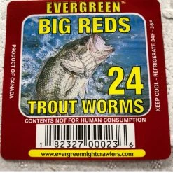 BAIT Red Wiggler Trout Worms (24 Pack) Live Bait