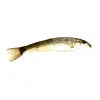 BAIT Live Bait Large Creek Minnows (Per Minnow)