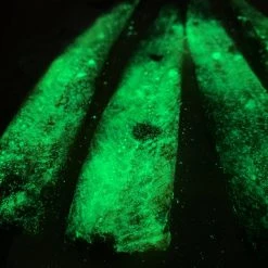 THE BIG ON CUT BAIT Live Bait The Big One Cut Bait Thick Cut Alewife Strips - Glow Meat