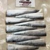 Underdog Sportfishing Premium Herring Strips Live Bait